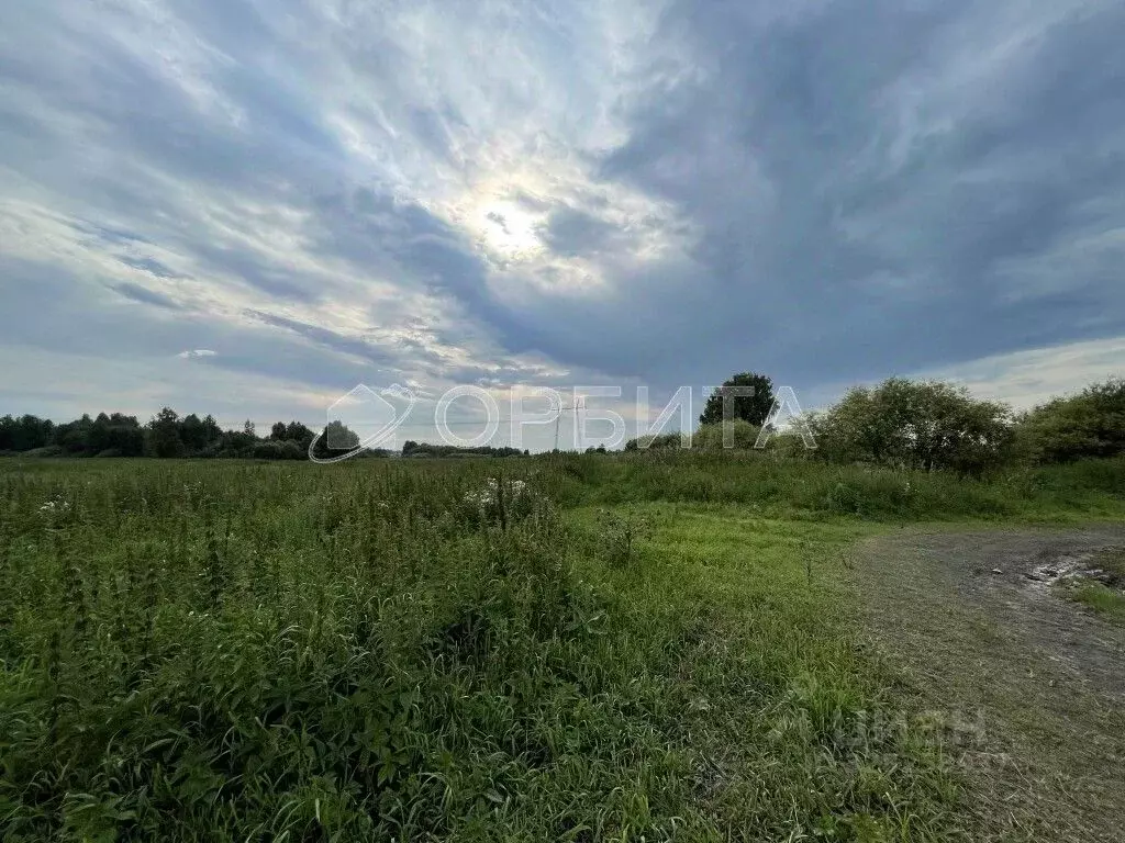 Участок в Тюменская область, Тюмень Лаванда садовое товарищество,  ... - Фото 1