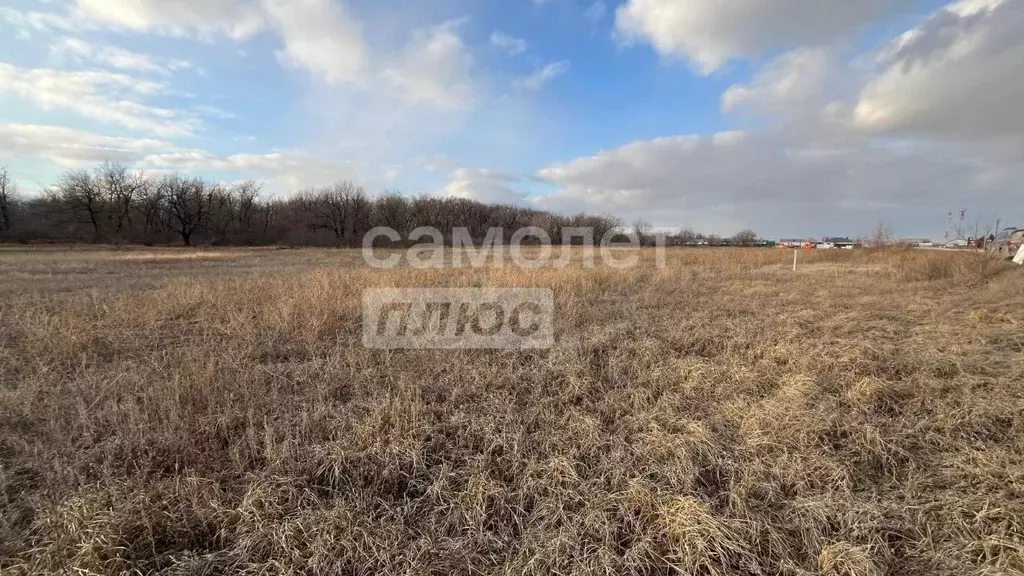 Участок в Волгоградская область, Среднеахтубинский район, Фрунзенское ... - Фото 0