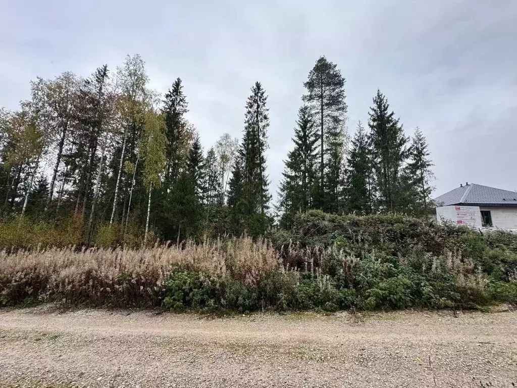 Участок в Пермский край, Березники ул. Ивана Коновалова, 9 (14.0 сот.) - Фото 1