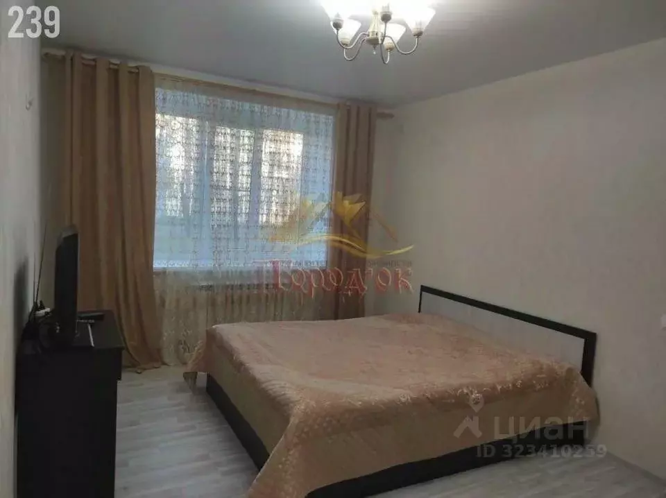 1-к кв. Воронежская область, Борисоглебск Аэродромная ул. (34.0 м) - Фото 2