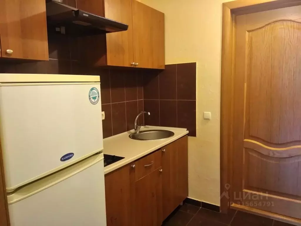 1-к кв. Крым, Ялта муниципальный округ, Ливадия пгт ул. Виноградная, ... - Фото 1