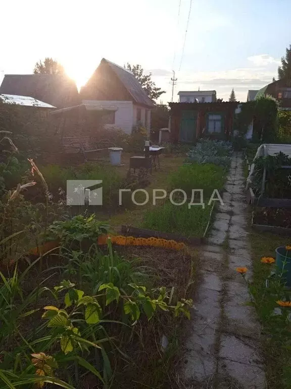 Дом в Криводановский сельсовет, садовое товарищество Сосна (20 м) - Фото 1