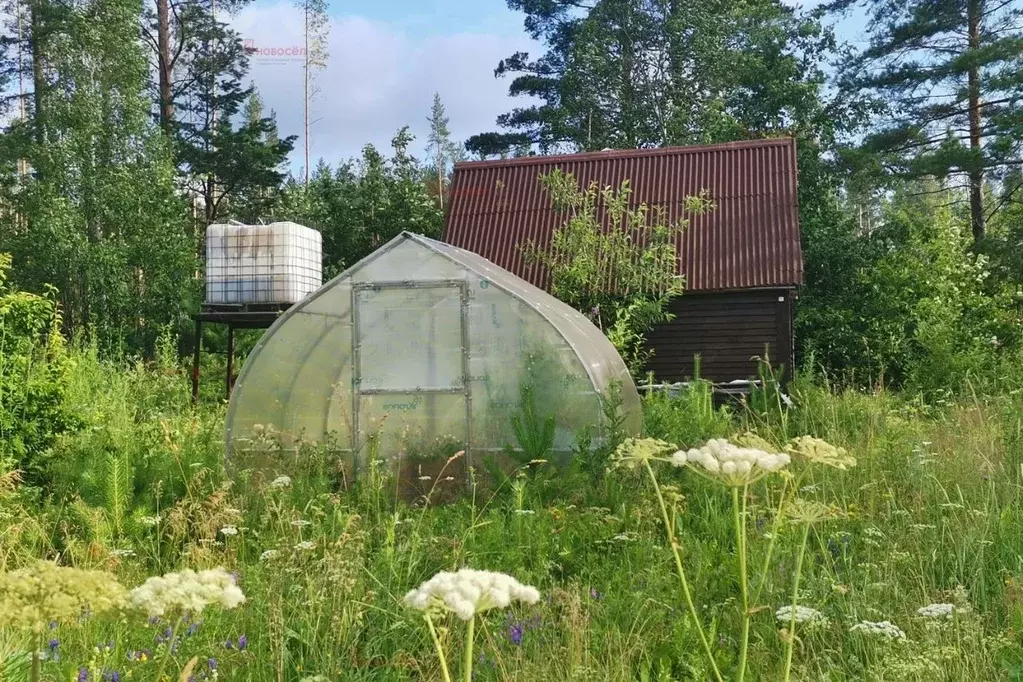 Дом в Свердловская область, Екатеринбург Луч СНТ,  (57 м) - Фото 1