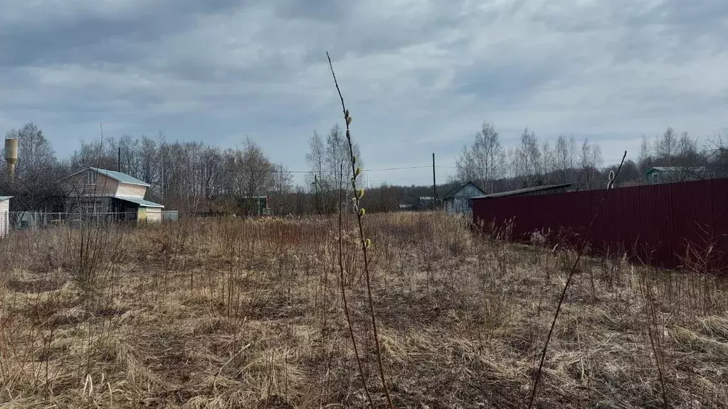 Участок в Владимирская область, Суздальский район, Новоалександровское ... - Фото 0