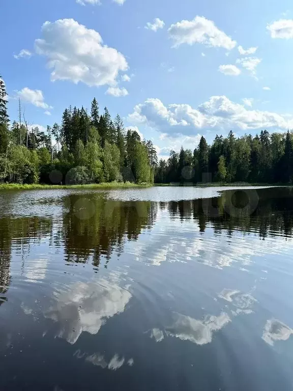 Дача 81 м на участке 15,3 сот. - Фото 1
