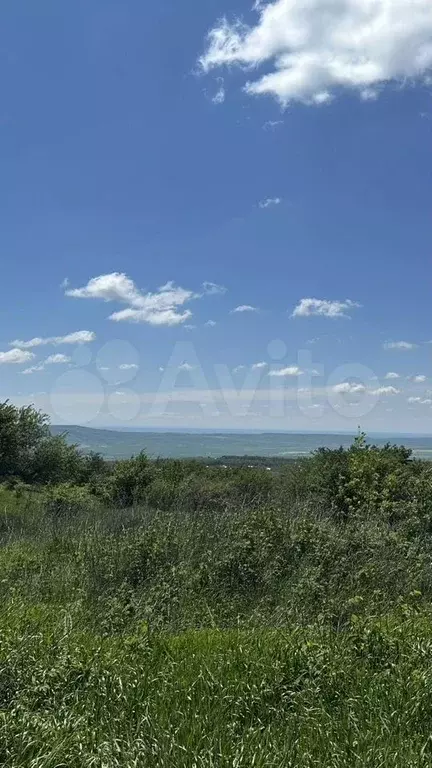 Участок 10 сот. (СНТ, ДНП) - Фото 1