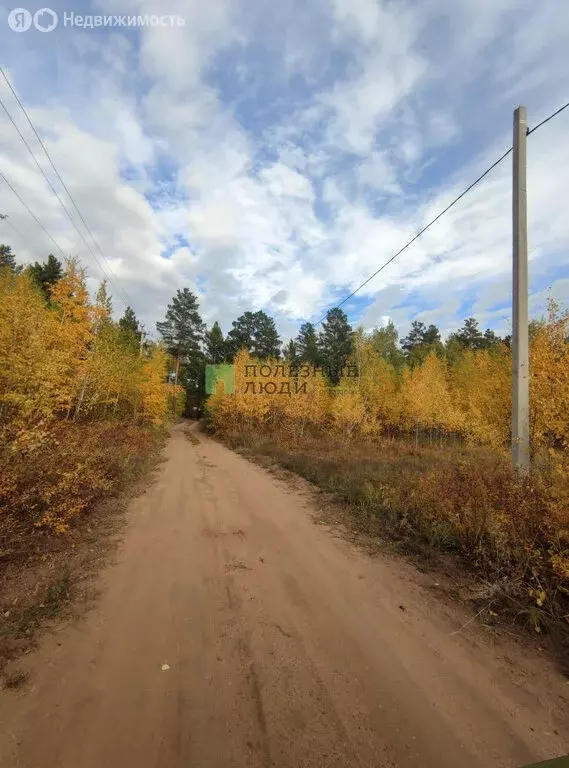 Участок в Читинский район, село Смоленка (99.54 м) - Фото 1