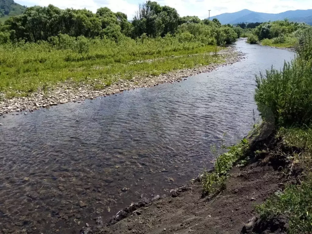 Погода в куягане алтайский край