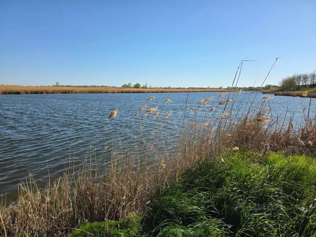Дом в Ростовская область, Азовский район, Задонское с/пос, Победа хут. ... - Фото 2