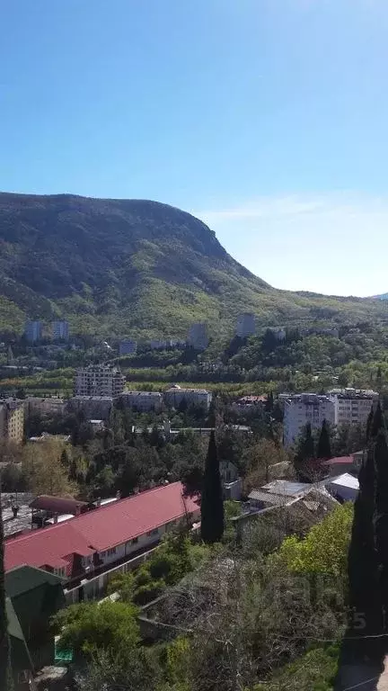 1-к кв. Крым, Алушта муниципальный округ, Партенит пгт ш. Фрунзенское, ... - Фото 1