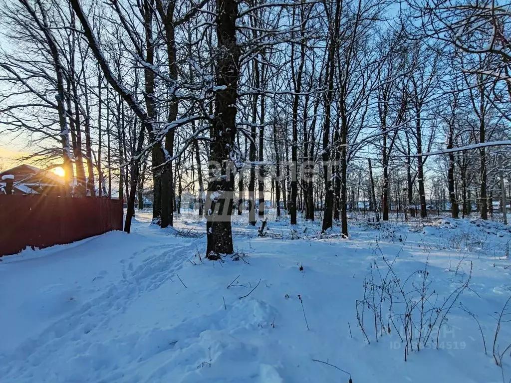 Участок в Калужская область, Дзержинский муниципальный округ, Льва ... - Фото 2