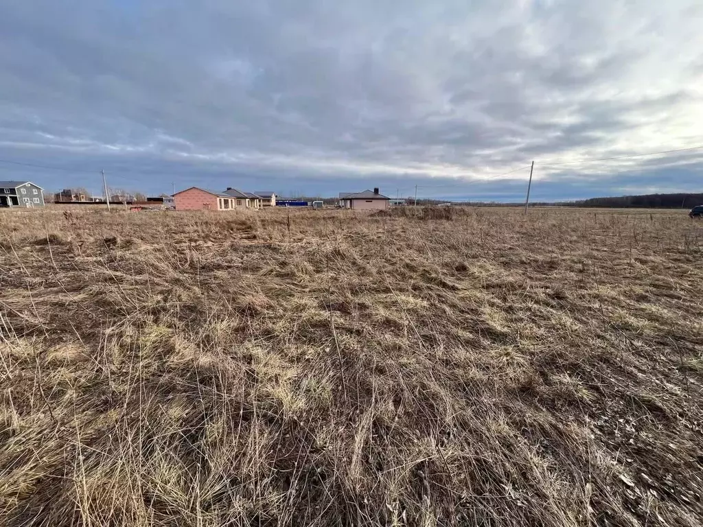 Участок в Московская область, Орехово-Зуевский городской округ, д. ... - Фото 1