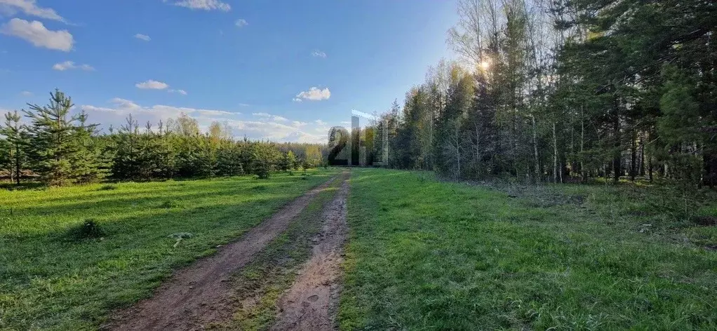 Участок в Свердловская область, Белоярский городской округ, пос. ... - Фото 1