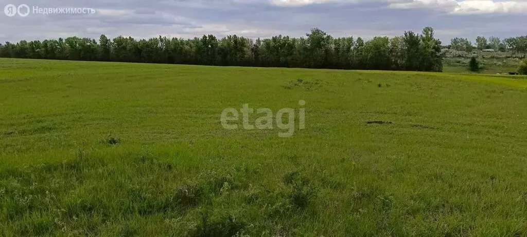 Участок в Волоконовский район, село Волчья Александровка (32 м) - Фото 1