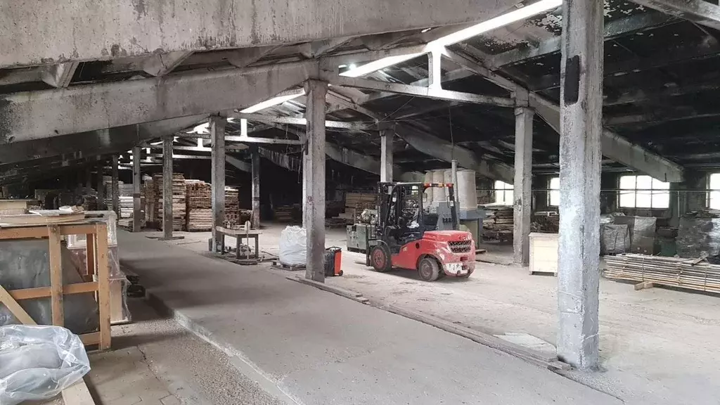 Производственное помещение в Ленинградская область, Лужский район, ... - Фото 2