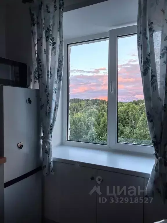 1-к кв. Карелия, Питкяранта Парковая ул., 3 (31.0 м) - Фото 2