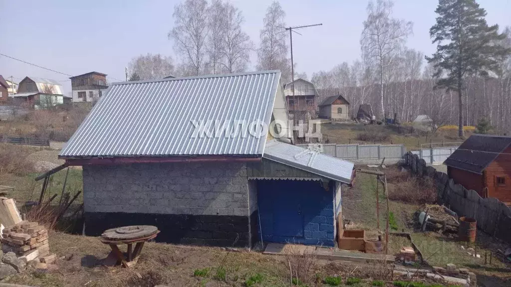 Снт Медик Омск Купить