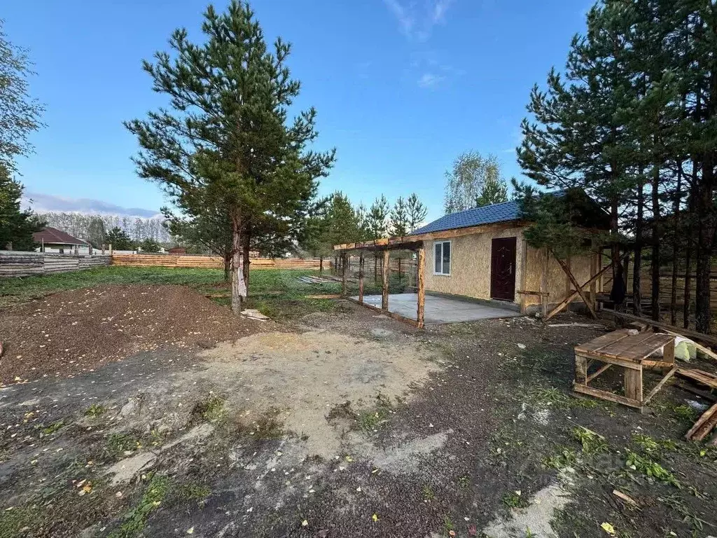 Участок в Свердловская область, Талица Петрунинская ул. (15.0 сот.) - Фото 1