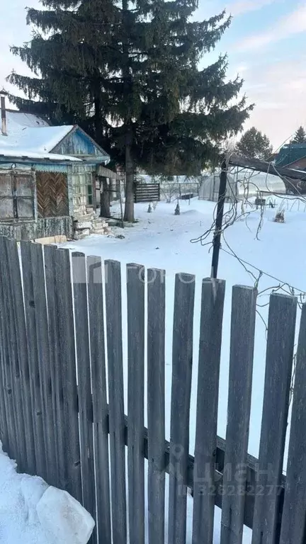 Участок в Новосибирская область, Новосибирский район, Толмачевский ... - Фото 1