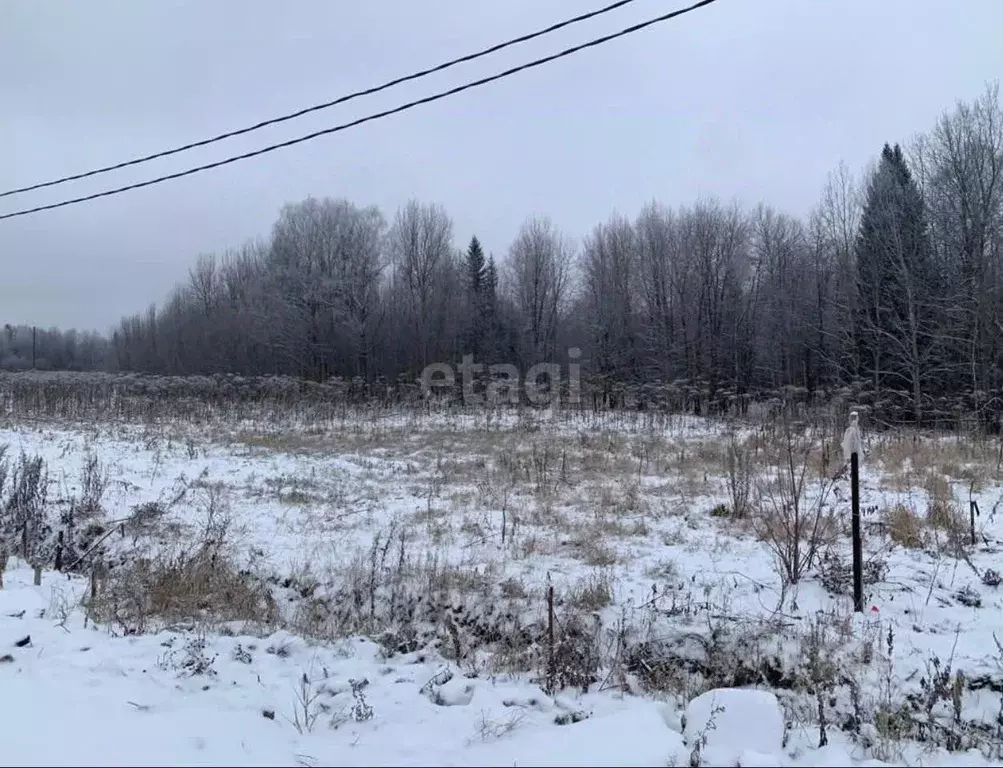 Участок в Коми, Сыктывдинский район, с. Выльгорт, пос. Снегири  (10.0 ... - Фото 0