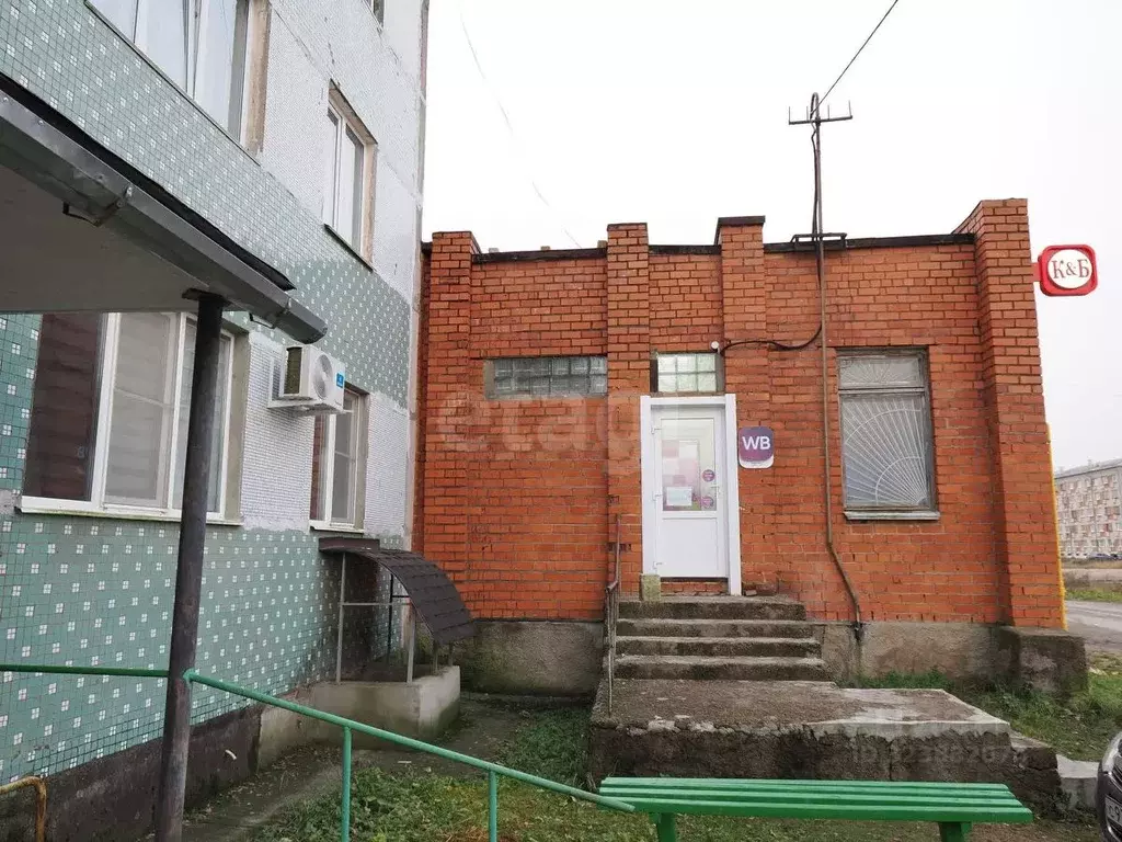 Торговая площадь в Псковская область, Остров Строитель мкр, 12 (333 м) - Фото 1