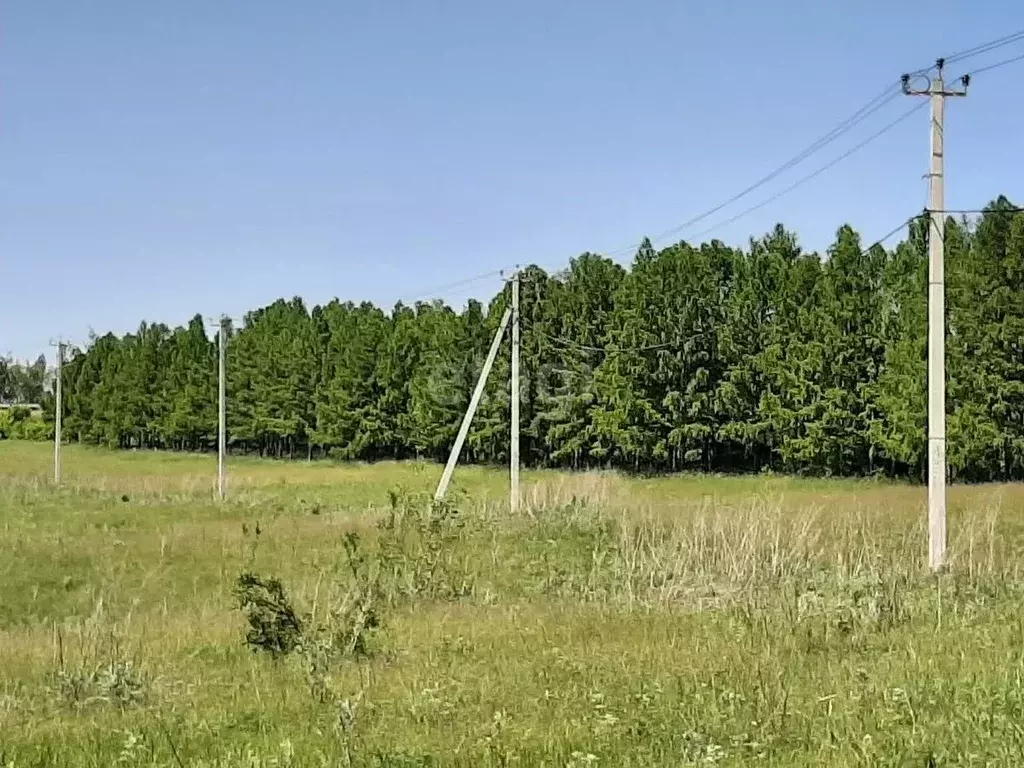 Участок в Белгородская область, Бирюч Красногвардейский район, Ямская ... - Фото 1
