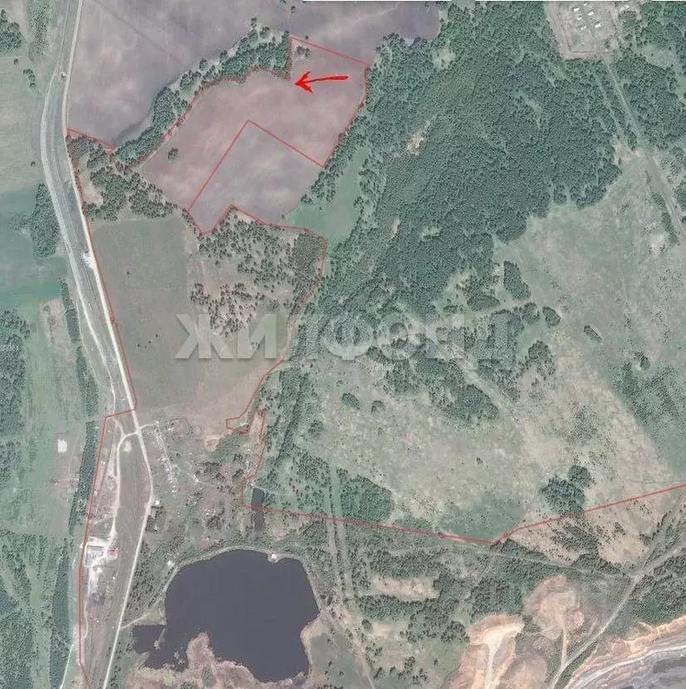 Участок в Новосибирская область, Тогучинский район, Горный рп  (10.41 ... - Фото 2