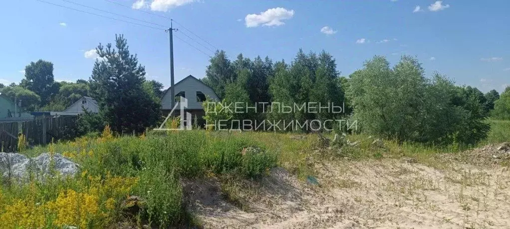 Дом в Пензенская область, Бессоновский район, с. Лопатки Песочная ул., ... - Фото 2