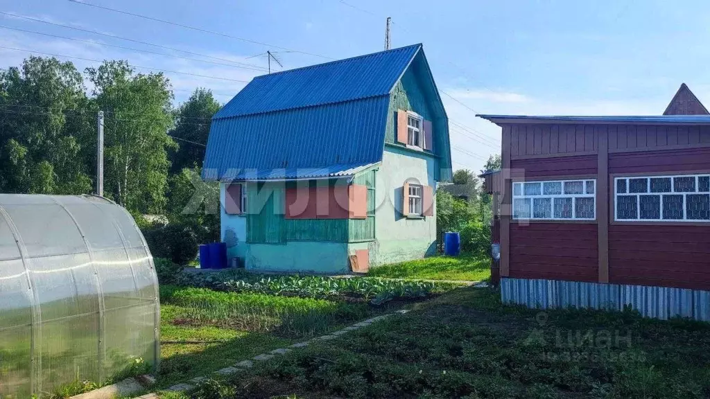 Дом в Новосибирская область, Мошковский район, с. Сокур  (40 м) - Фото 1