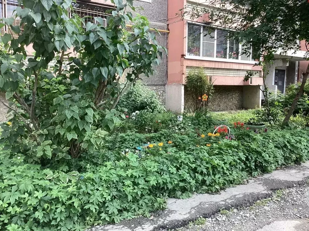 3-к кв. Свердловская область, Екатеринбург ул. Индустрии, 57/1 (64.0 ... - Фото 2