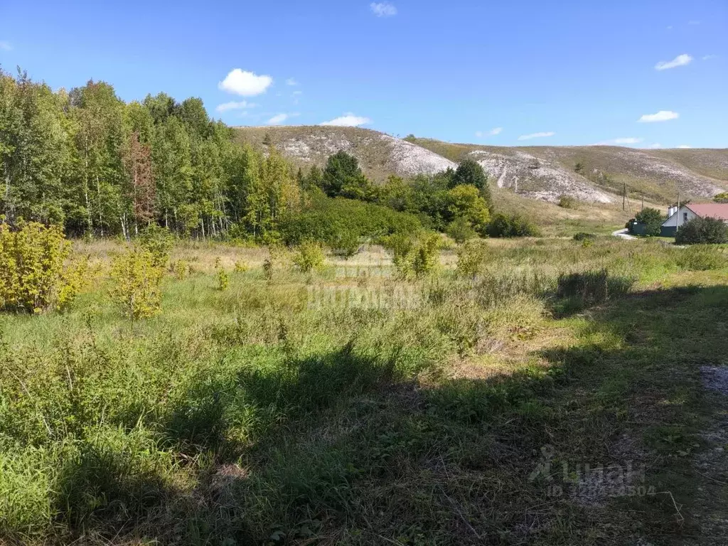 Участок в Воронежская область, Хохольский район, с. Костенки ул. ... - Фото 1