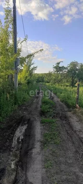 Участок в Саранск, СНТ Зелёный Друг (4.6 м) - Фото 0