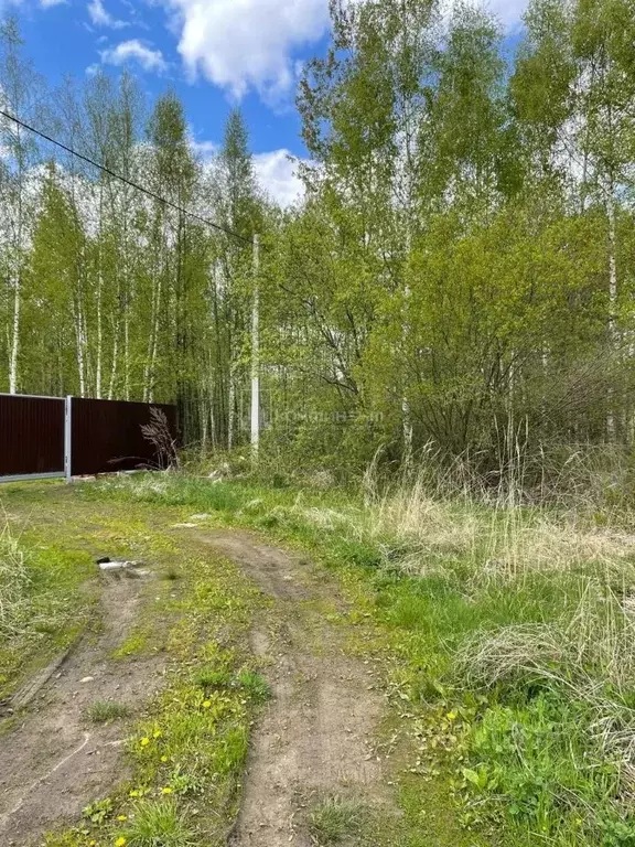 Участок в Владимирская область, Собинка ул. Любимая, 16 (10.0 сот.) - Фото 0