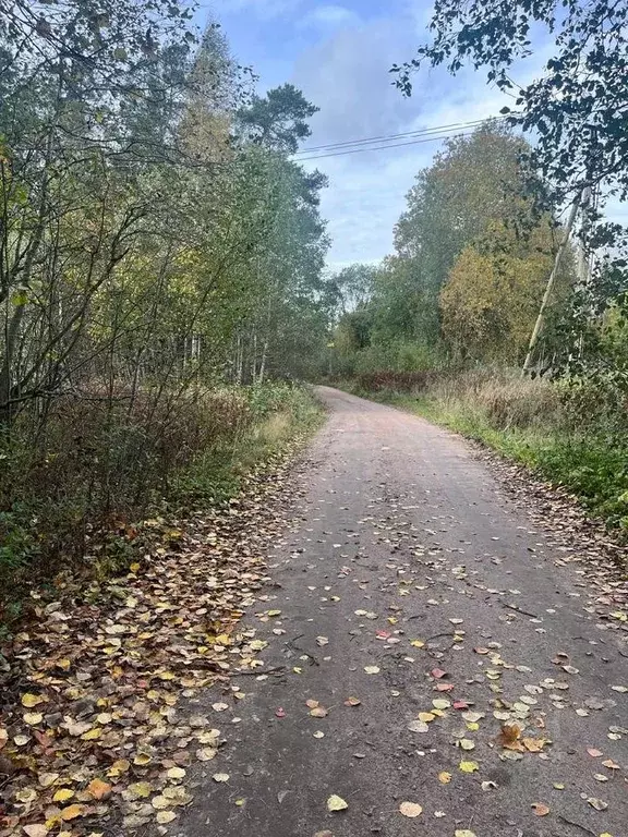 Участок в Ленинградская область, Выборгский район, Полянское с/пос, ... - Фото 1