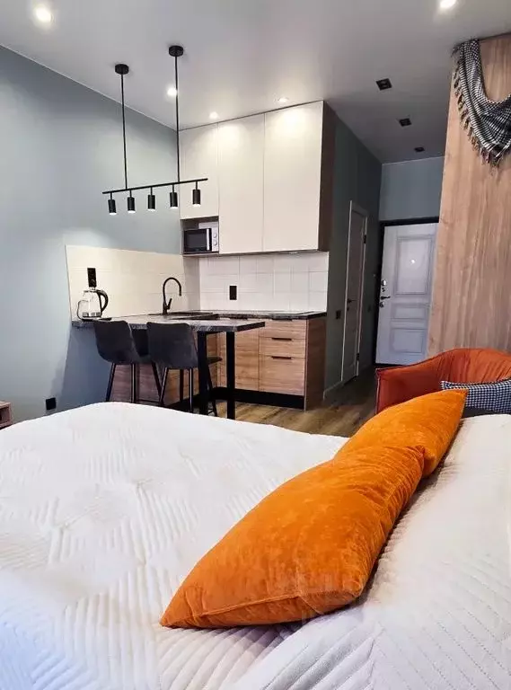 Студия Краснодарский край, Сочи ул. Ленина, 290/7к7 (24.0 м) - Фото 0