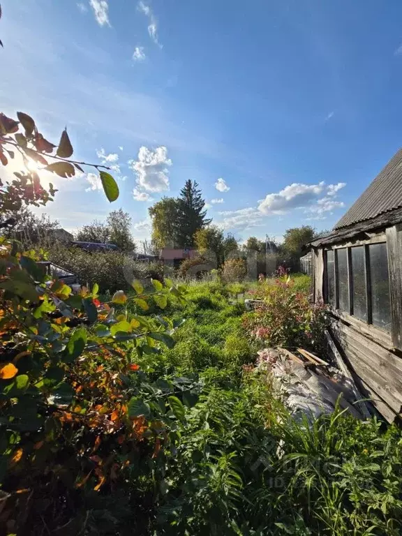 Участок в Тюменская область, Тюмень Строитель СНТ, ул. Садовая, 91 ... - Фото 2