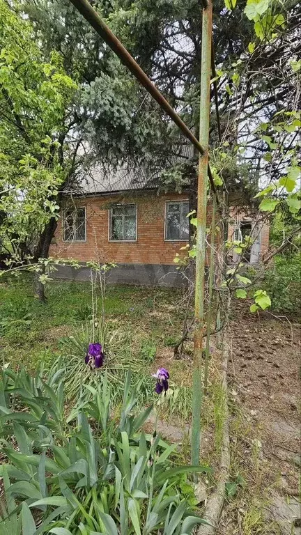 Дача 100 м на участке 5,5 сот. - Фото 0