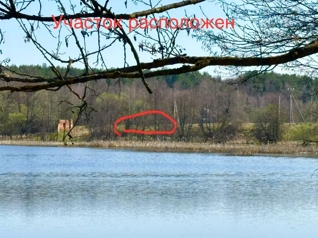 Участок в Калужская область, Дзержинский район, Барсуки с/пос, д. ... - Фото 2