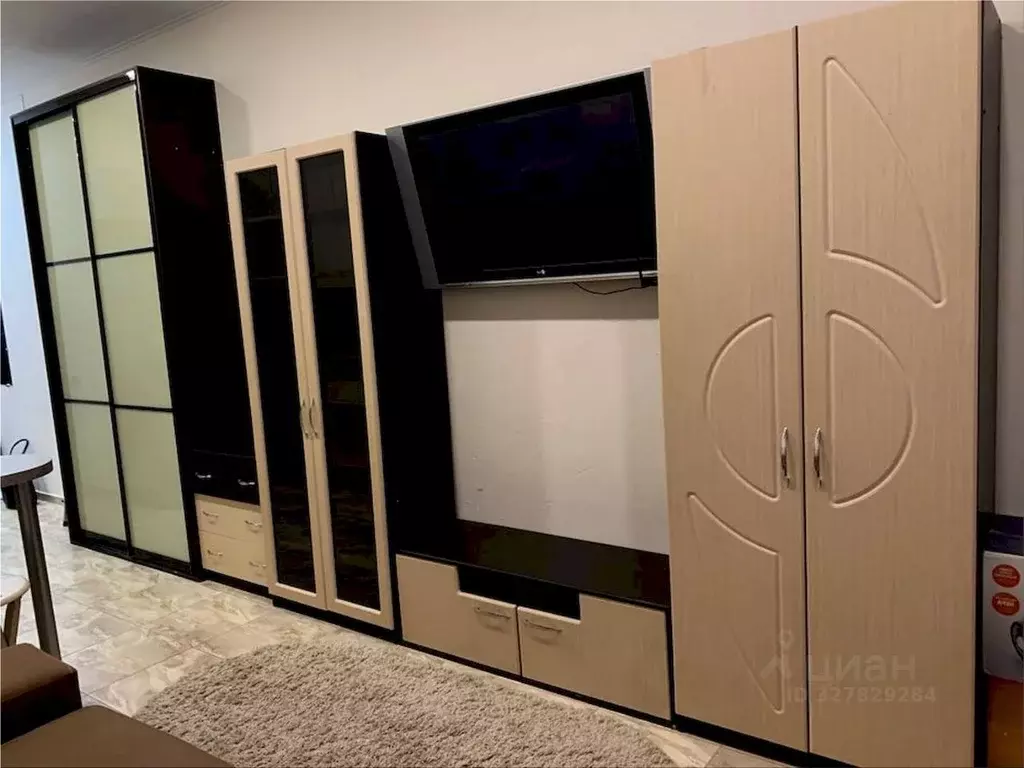 Студия Алтайский край, Барнаул ул. Юрина, 253 (24.0 м) - Фото 2