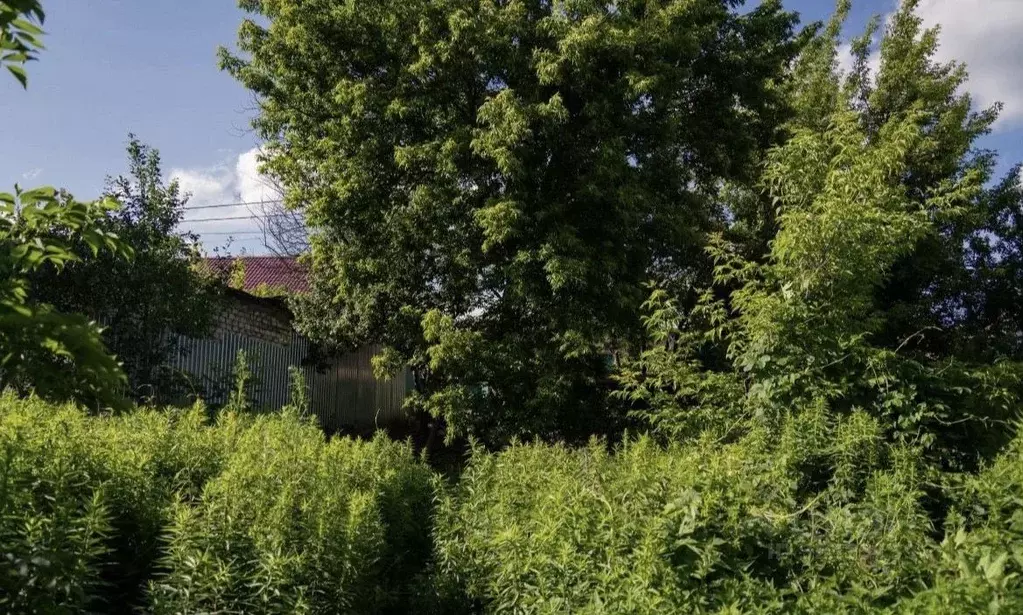 Участок в Брянская область, Брянск Дальний пер. (15.0 сот.) - Фото 2