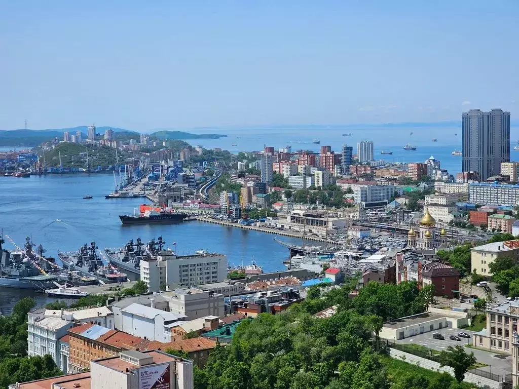 3-к кв. Приморский край, Владивосток Некрасовский пер., 24 (65.0 м) - Фото 0
