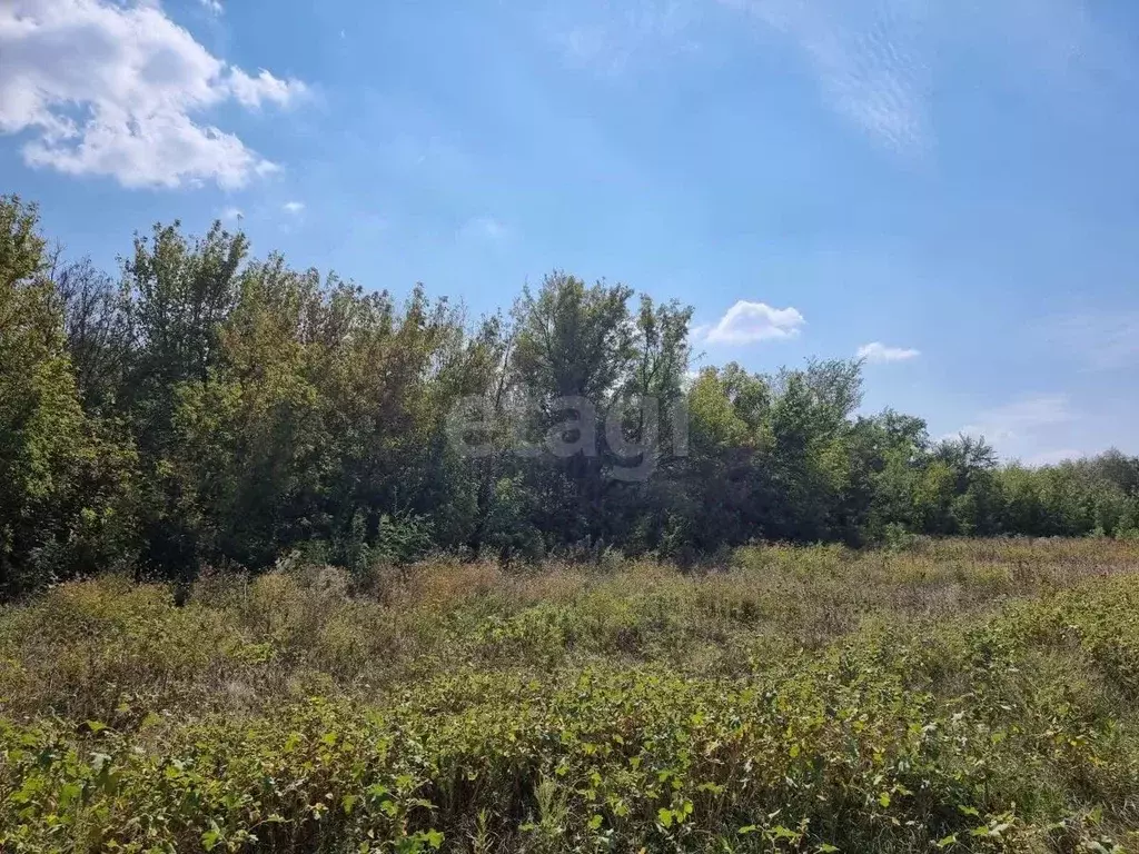 Участок в Ростовская область, Мясниковский район, Красный Крым хут. ... - Фото 1