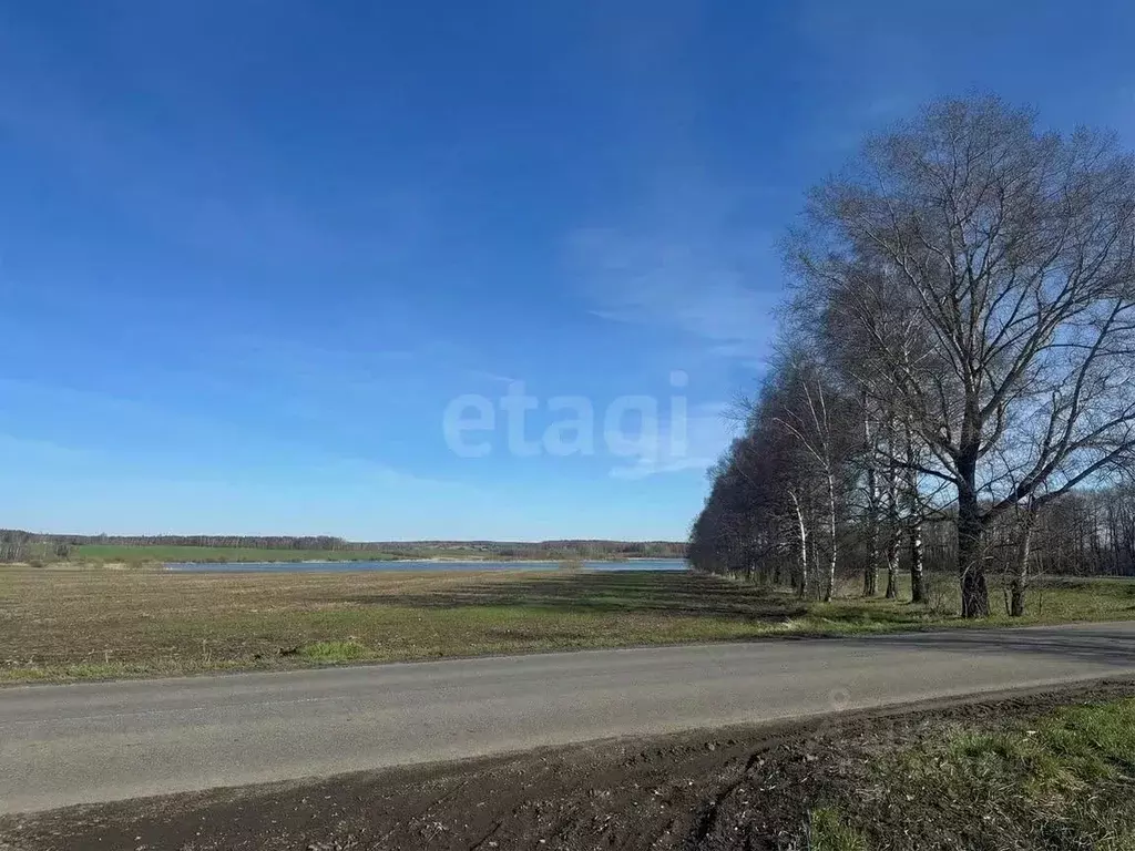 Участок в Чувашия, Моргаушский муниципальный округ, Орининское ... - Фото 2