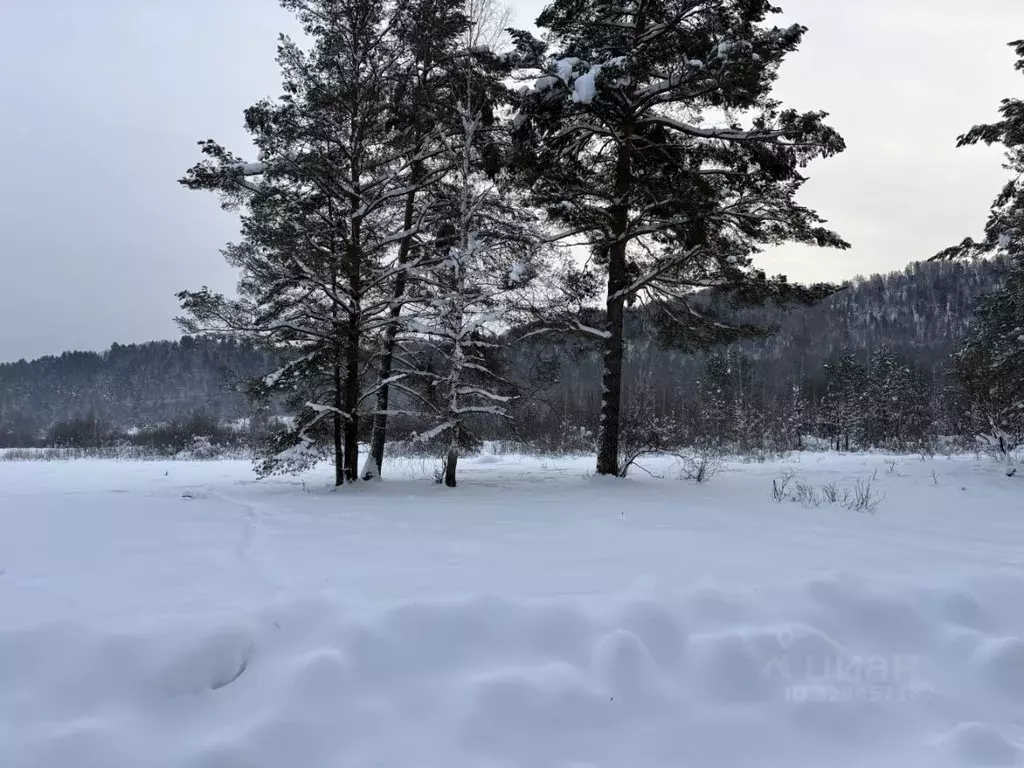 Участок в Алтай, Чойский район, с. Паспаул Лесная ул. (15.0 сот.) - Фото 2