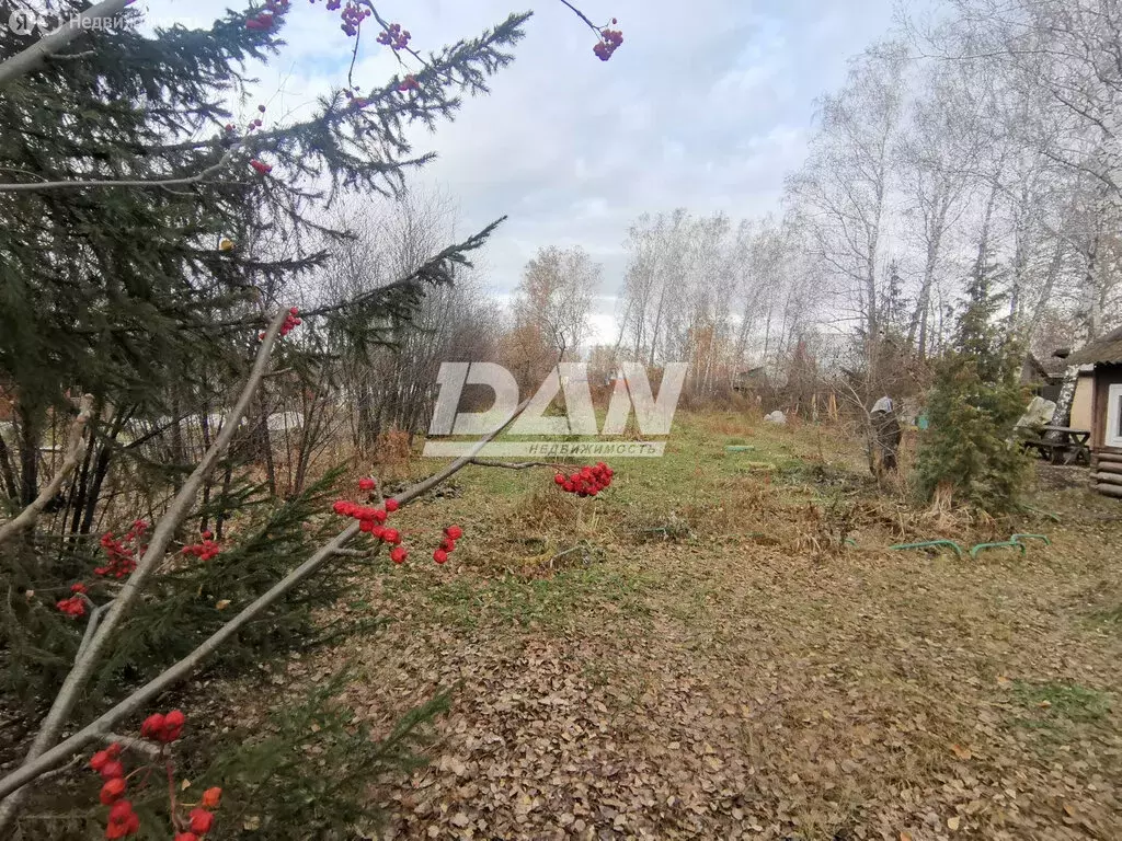 Участок в Челябинск, СНТ Нефтяник (18 м) - Фото 2