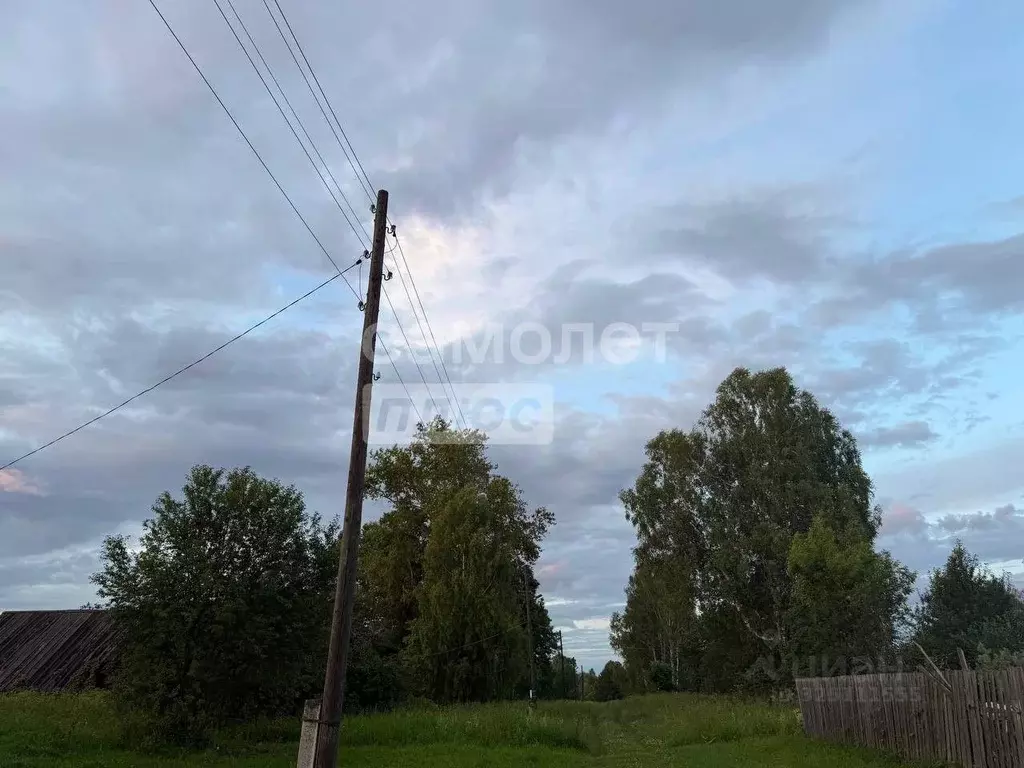 Участок в Марий Эл, Медведевский район, Руэмское с/пос, Агрохимик СНТ ... - Фото 2