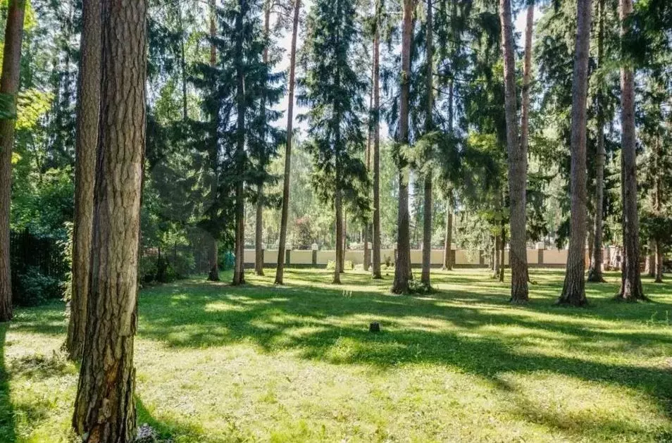Участок 6,8 сот. (ИЖС) - Фото 1