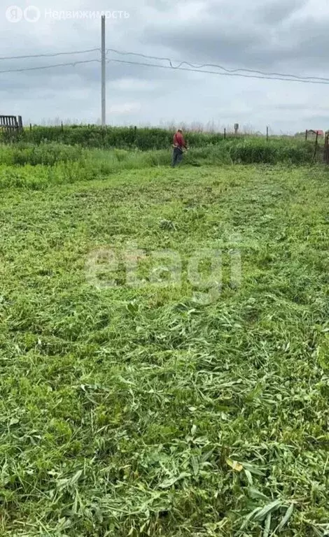 Участок в Дубенский район, сельское поселение Воскресенское, село ... - Фото 1