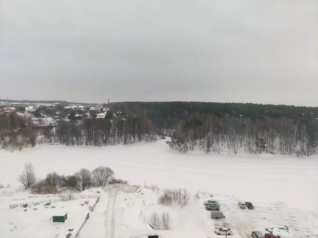 3-к кв. Московская область, Ленинский городской округ, д. Сапроново, ... - Фото 1