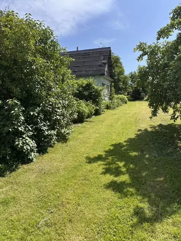 Участок в Ленинградская область, Гатчинский муниципальный округ, пос. ... - Фото 1